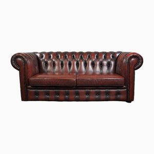 Red Cattle Chesterfield Sofa-HPP-1764183