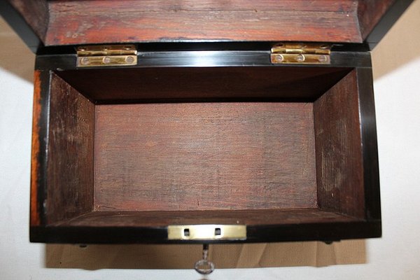 Renaissance Style Curved Chest in Solid Walnut, 19th Century-RVK-978429