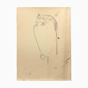 Reynold Arnould, Owl, Drawing, Mid-20th Century-ZCI-2025346