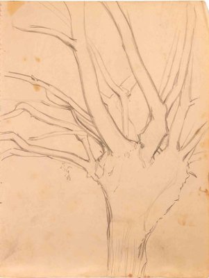 Reynold Arnould, Tree, 1970s, Drawing-ZCI-1781849