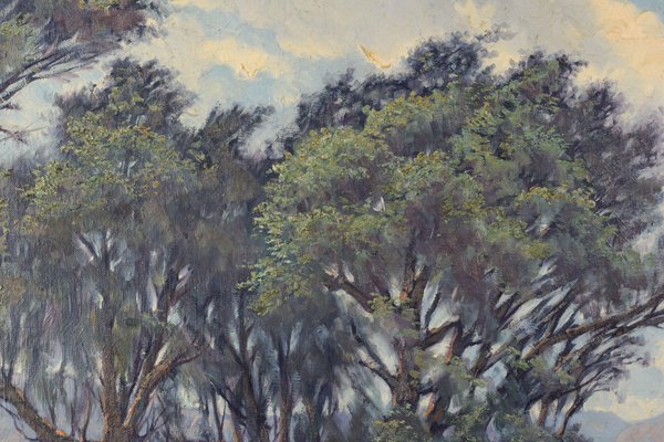 Ricard Tarrega Viladoms, Viejos Olivos, 1978, Oil on Canvas, Framed-AOI-1109960