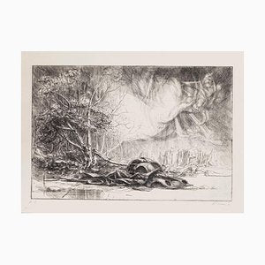 Riccardo Tommasi Ferroni, Nature Prevails, 1970s, Etching-ZCI-832261