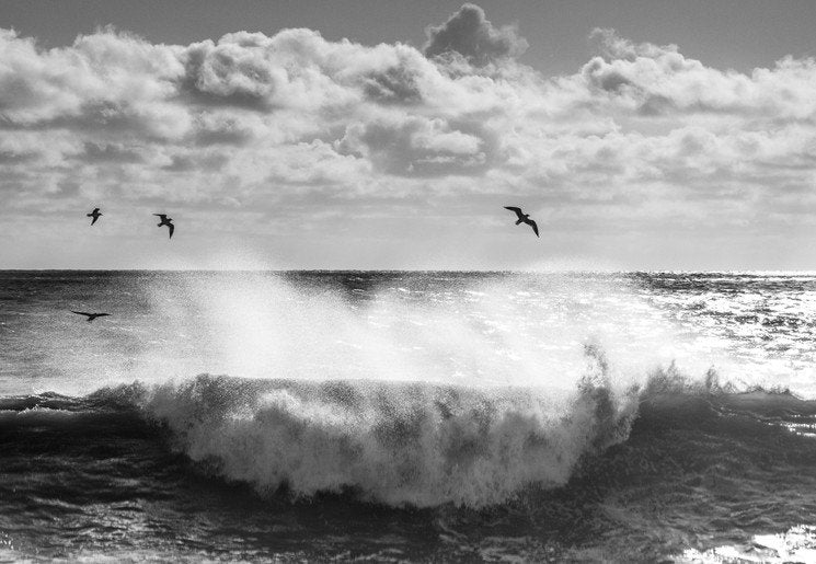 Richard Dunkley, Aldwick Wave, 2020, Photographic Print