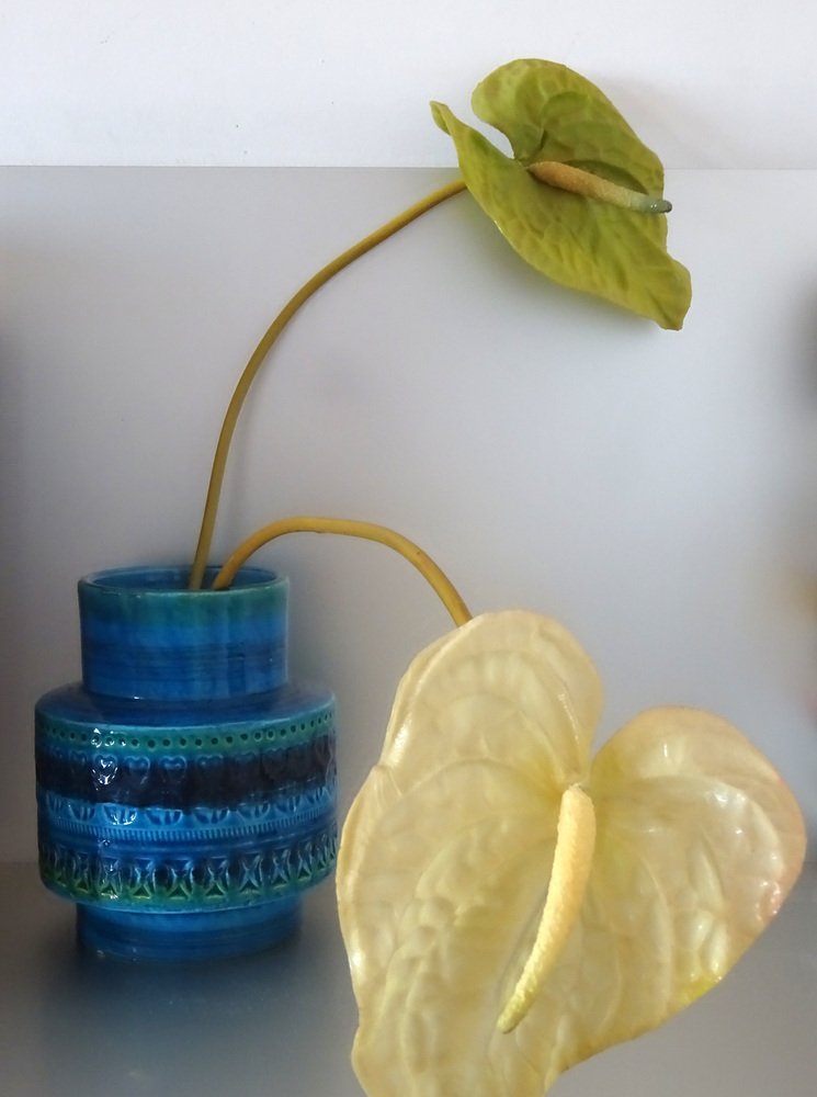 Rimini Blue Cachepot from Bitossi, 1960s