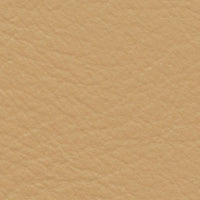 Ring-Necked pheasant (FE4035)