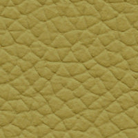 River of Grass (AU656)