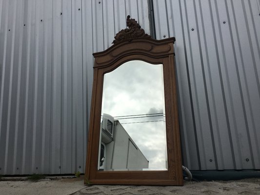 Rococo Style Carved Oak Mirror, 1920s-WQQ-695001