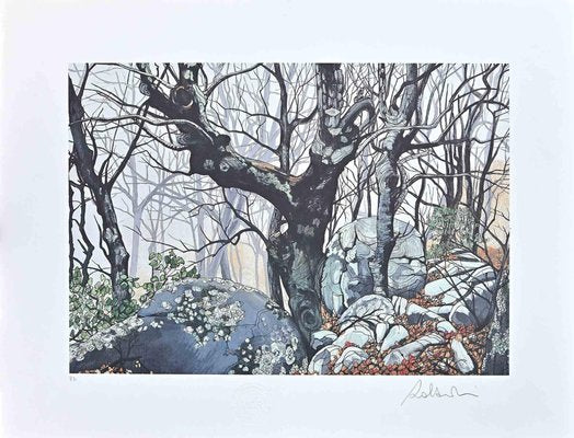 Rolandi (Maurizio Coccia), In The Forest, Screen Print, 1980s-ZCI-2029215