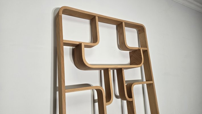 Room Divider by Ludvik Volak for Drevopodnik Holesov, 1950s-QJA-2021412