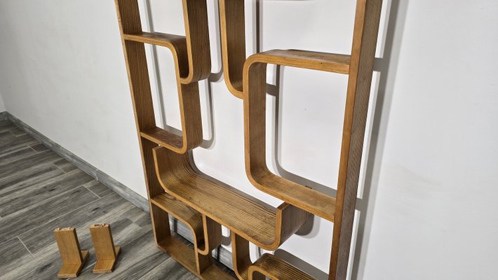 Room Divider by Ludvik Volak for Drevopodnik Holesov, 1950s-QJA-1998676