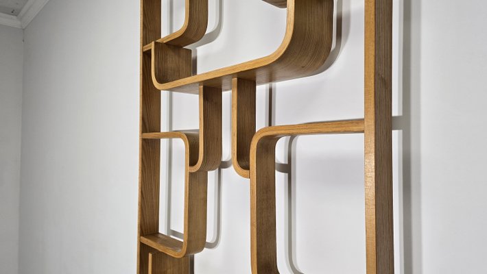 Room Divider by Ludvik Volak for Drevopodnik Holesov, 1950s-QJA-1998676