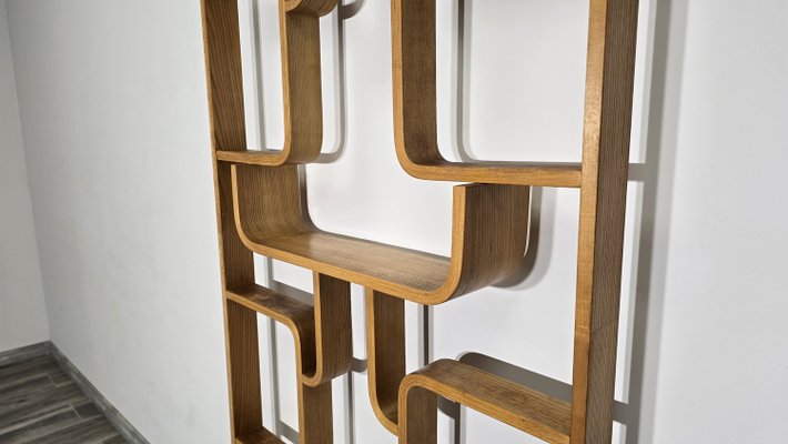 Room Divider by Ludvik Volak for Drevopodnik Holesov, 1950s-QJA-1998676