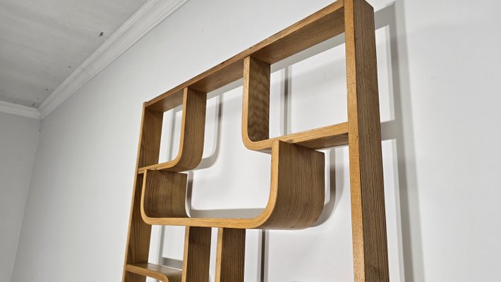 Room Divider by Ludvik Volak for Drevopodnik Holesov, 1950s-QJA-1998676