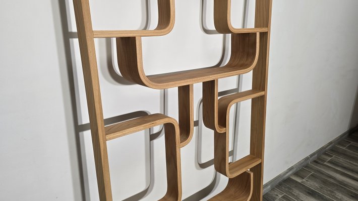 Room Divider by Ludvik Volak for Drevopodnik Holesov, 1950s-QJA-2021412