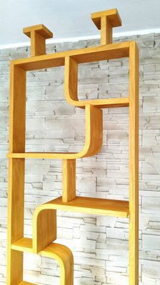 Room Dividers attributed to Ludvik Volak for Drevopodnik Holesov, Set of 2-DHD-1752397