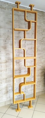 Room Dividers attributed to Ludvik Volak for Drevopodnik Holesov, Set of 2-DHD-1752397