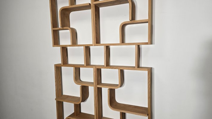 Room Dividers by Ludvik Volak for Drevopodnik Holesov, 1950s, Set of 2-QJA-2035667