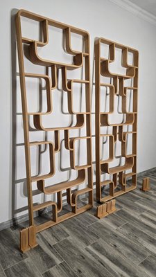 Room Dividers by Ludvik Volak for Drevopodnik Holesov, 1950s, Set of 2-QJA-2021409