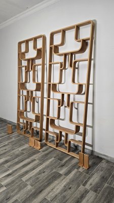 Room Dividers by Ludvik Volak for Drevopodnik Holesov, 1950s, Set of 2-QJA-2021409