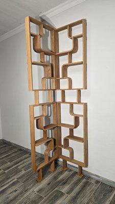 Room Dividers by Ludvik Volak for Drevopodnik Holesov, 1950s, Set of 2-QJA-2035667