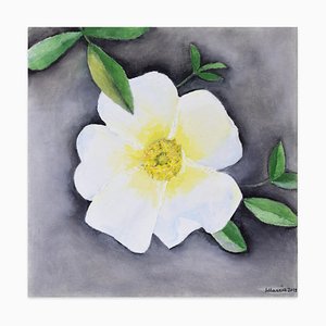 Rosa Bracteata - Original Oil on Canvas by Marzia Trinca - 2019 2019-ZCI-757196