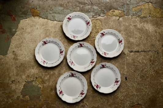 Rose-Marie Plates from Sarreguemines Faïencerie, 1960s, Set of 6