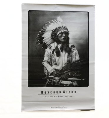 Rosebud Sioux II Poster from Moderna Museet, 1980s-JKV-1786090