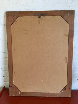 Rosewood Mirror, 1960s-ZKN-580862