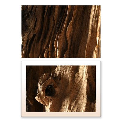 Rough Teak Root from Indonesia-NQ-624869