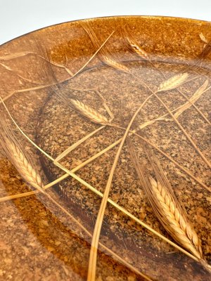 Round Acrylic Centerpiece with Wheat Inclusions, Italy, 1970s-LYQ-1419256