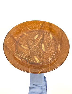 Round Acrylic Centerpiece with Wheat Inclusions, Italy, 1970s-LYQ-1419256