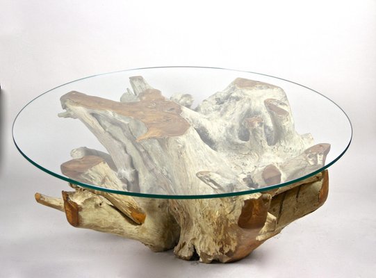 Round Organic Teak Root Coffee Table with Safety Glass Plate, 2021-TQA-1322207