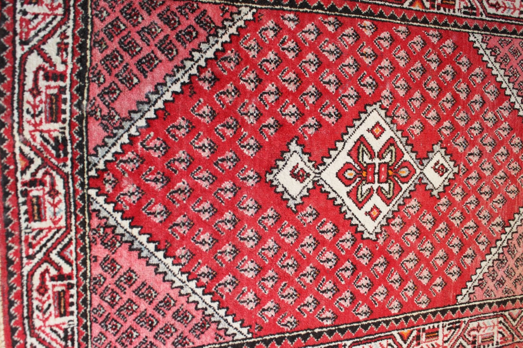 Rugs from Saraband, Middle East