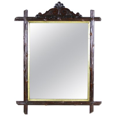 Rustic Austrian Black Forest Rustic Wall Mirror, 1880s-TQA-1322103