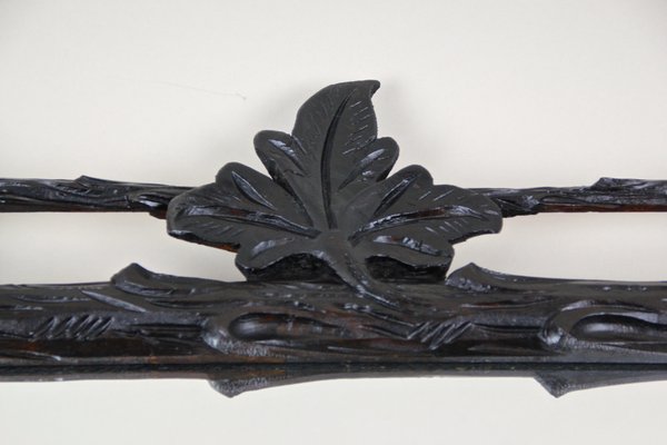 Rustic Hand Carved Black Forest Wall Mirror, Austria, 1880s-TQA-1322134