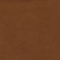 Enchant col. 27 Sauvage