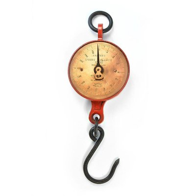 Salter's Hanging Scale-NQ-624693