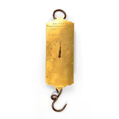 Salter's Hanging Scale-NQ-624692