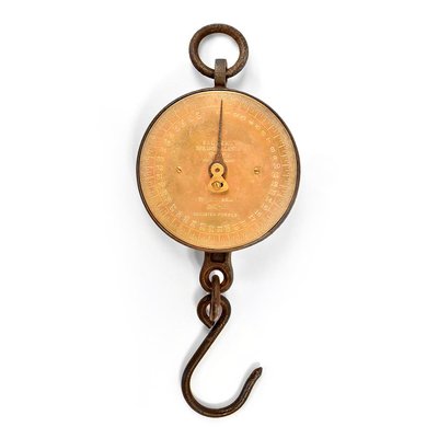 Salter's Hanging Scale-NQ-624691