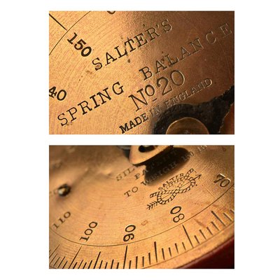 Salter's Hanging Scale-NQ-624693