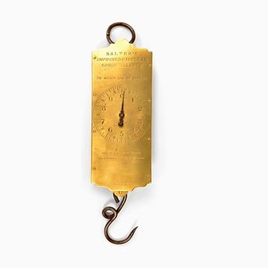 Salter's Hanging Scale-NQ-624692