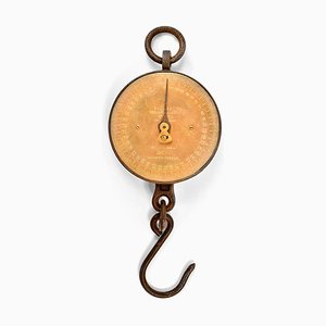 Salter's Hanging Scale-NQ-624691