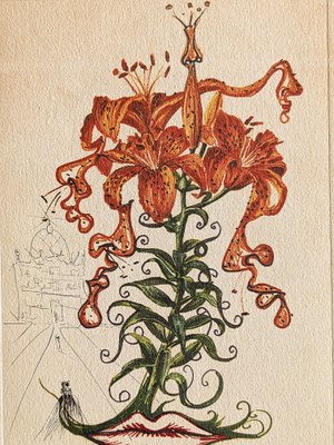 Salvador Dali, Flowers: Lilium Aurancacium et labra barocantia, 1972, Original Etching-NRC-1720066