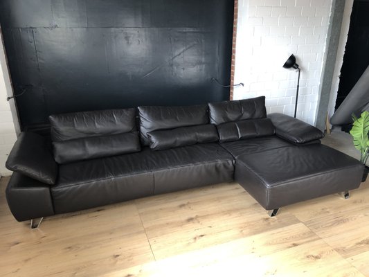 Sample Ring Leather Sofa in Brown from Musterring International-LGU-2018221