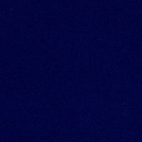Savoy 66164