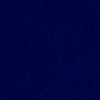 Savoy 66164