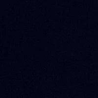 Savoy 66165
