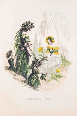 Scabieuse et Souci - Les Fleurs Animées Vol.II - Litho by J.J. Grandville - 1847 1847-ZCI-757159