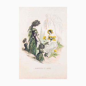 Scabieuse et Souci - Les Fleurs Animées Vol.II - Litho by J.J. Grandville - 1847 1847-ZCI-757159