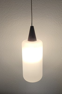 Scandinavian Opaline and Teak Pendant Lamp, 1960s-OJT-1822758